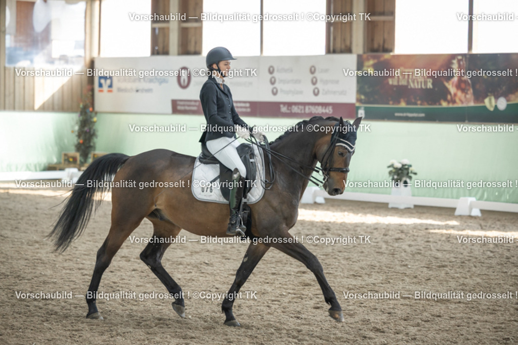 _D5A2951 | Emotionale Pferde- & People-Fotografie rund um Heidelberg, Leimen & Umgebung. Natürliche Fotos von Pferd, Mensch & Familie. Jetzt Termin sichern!