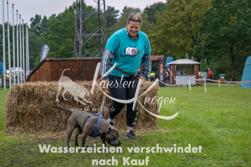 1203--7 | kk-dogfotos