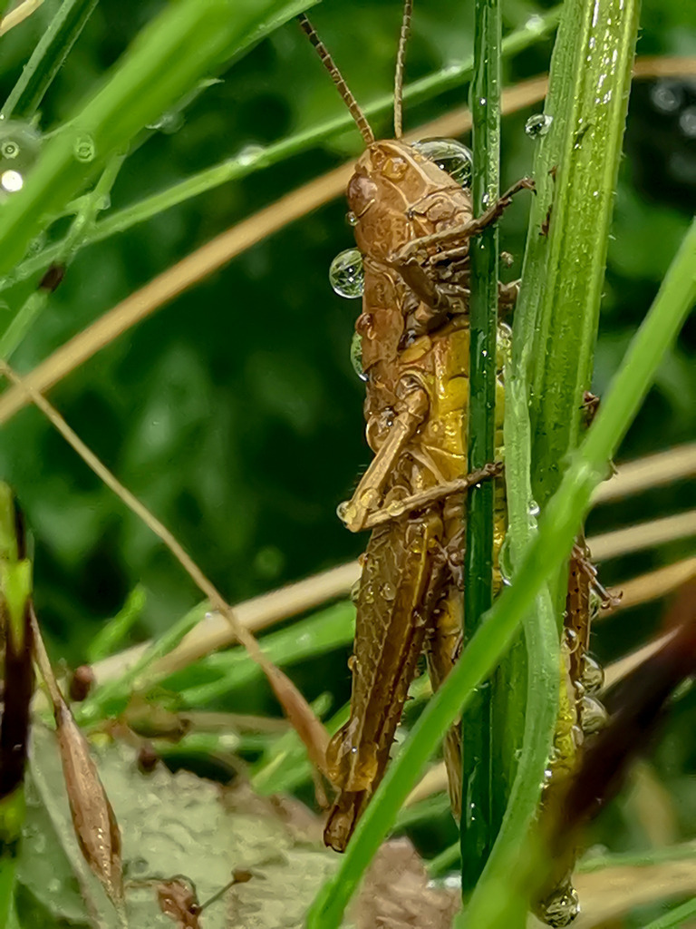 PSX_20230829_224944 | mtkfoto_ - Realisiert mit Pictrs.com