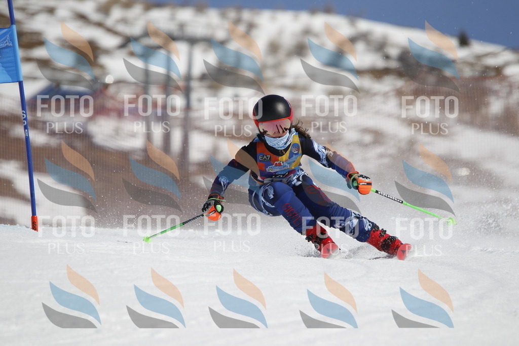 _U3G0638 | holidayphoto