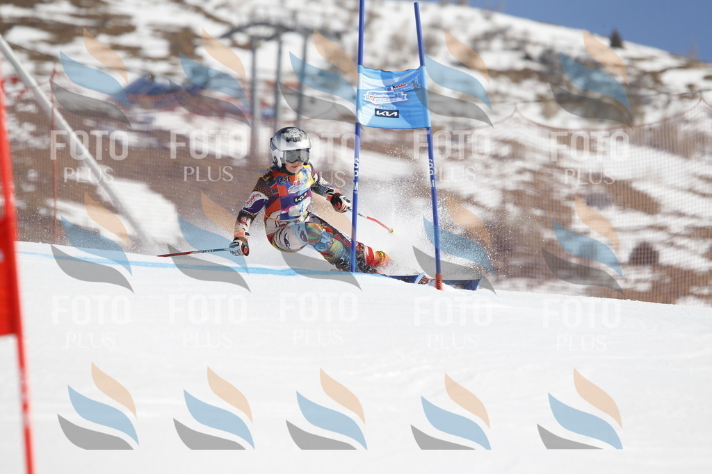 _U3G8534 | holidayphoto