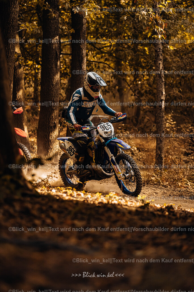 E68A7825 | blick_win_kel