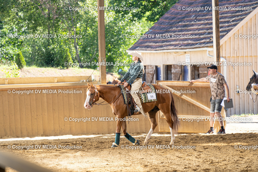 DSC00067 | dv-media-shop - Realisiert mit Pictrs.com