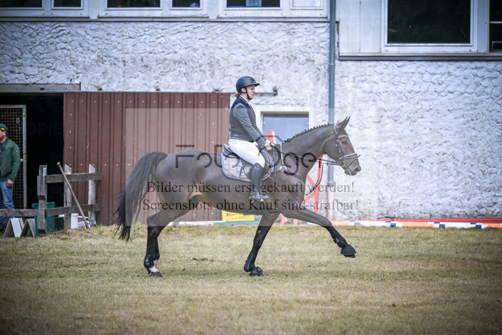 DOS_0405 | Entdecke hochwertige Reitturnierfotos von Foto Oger. Professionell, emotional und authentisch – jetzt Lieblingsmomente im Shop bestellen.Deutschlandweite Turnierfotografie. - Realisiert mit Pictrs.com