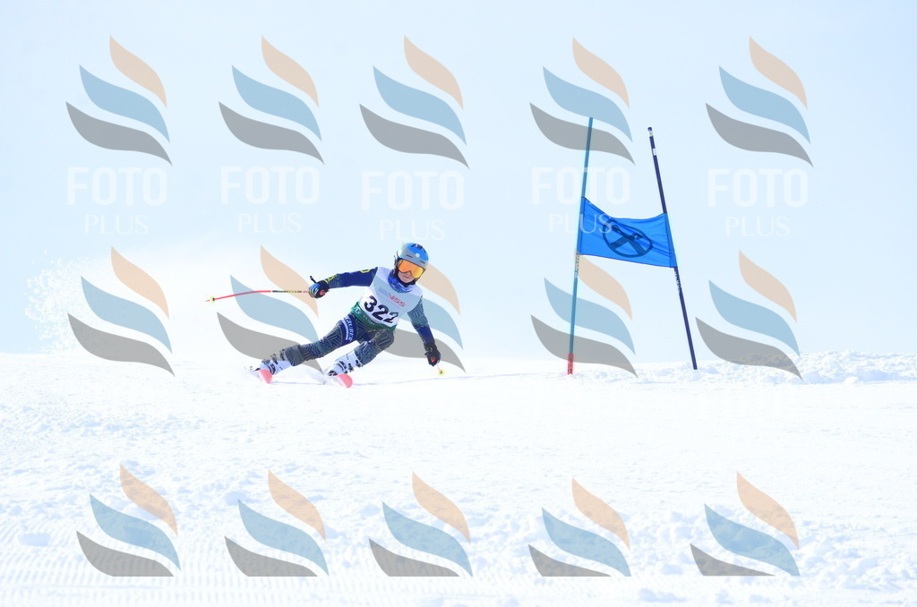 B8573 | holidayphoto