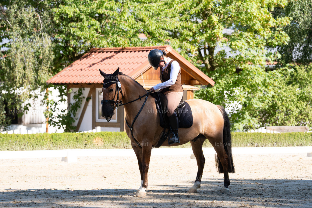 WA_DR_22_SinaFilmArt_IN01286 | working equitationturnier fotograf videograf stoibphotography marixx film working equitation deutschland reitsport turnierfotografie eventfotografie equestrian events
