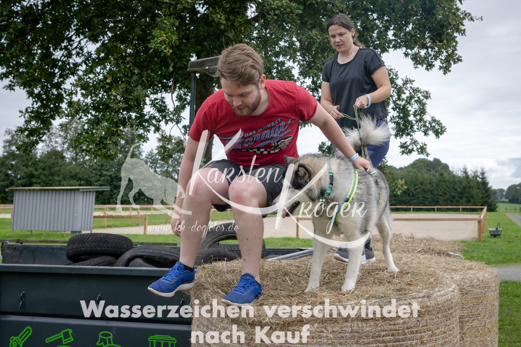1219_ZZ90293 | kk-dogfotos