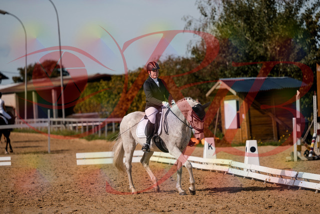2026_10_03_Siefer-Hof_122717_Z63_48297085 | Professionelle Reitsport-, Turnier- und Eventfotografie von Robert Broda. Galerien mit ausgewählten und bearbeiteten Bildern direkt online ansehen und bestellen.