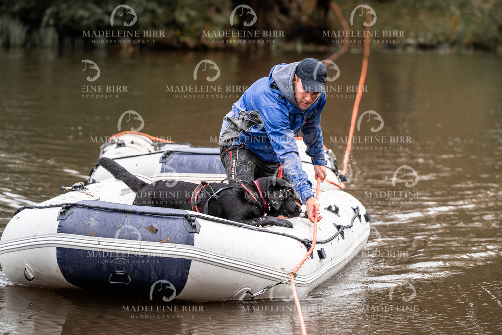 madeleinebirr-fotografie2025.campcanis.11-12Uhr-58 | hundefotografie-birr