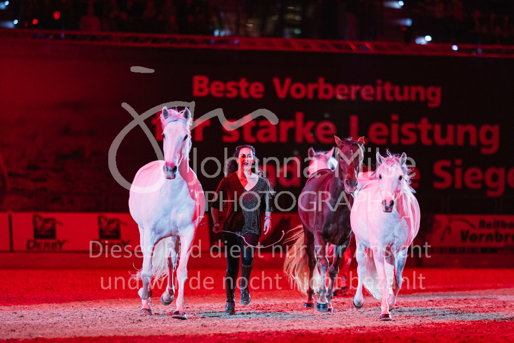 241102_Oldenburg_Show-335 | Deine schönsten Turniermomente als professionelle Fotos! Entdecke hochwertige Pferdesport-Fotografie im Online-Shop. Jetzt Fotos finden & bestellen!