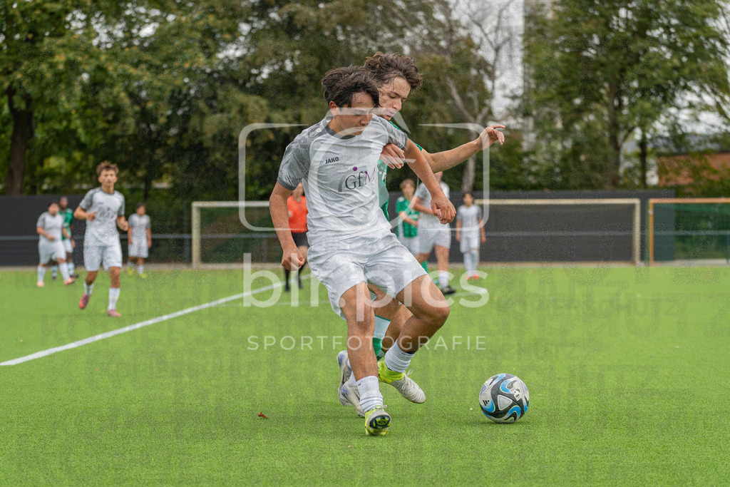 SV Werder Bremen - SV Grohn | SV Werder Bremen - SV Grohn