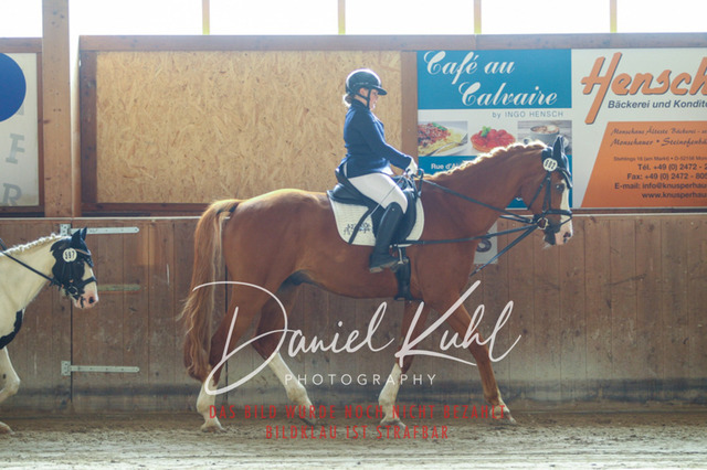 DKP44993 | Turniersportfotografie; Pferdefotografie; Dressurfotografie