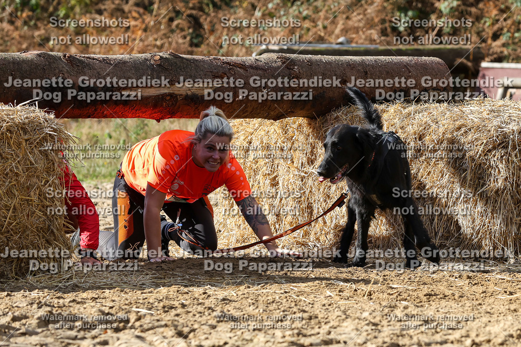 Dog Paparazzi - Strongdog 10-25-4952 | Dog Paparazzi Jeanette Grottendiek Fotografie & Videografie - Realisiert mit Pictrs.com