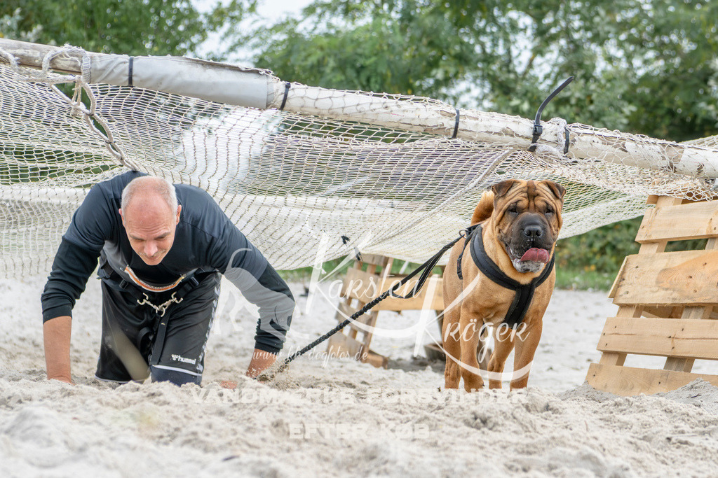 1511_ZZ93474 | kk-dogfotos