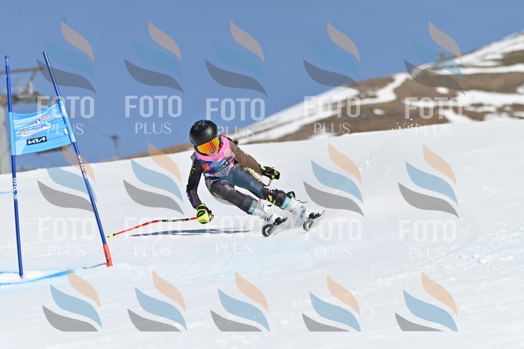 BGV_8047 | holidayphoto