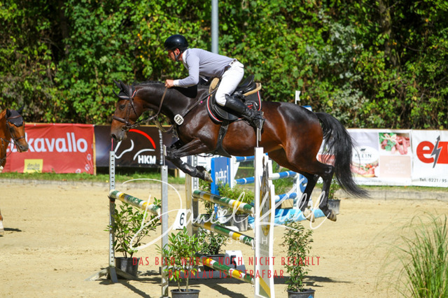 DKP43236 | Turniersportfotografie; Pferdefotografie; Dressurfotografie