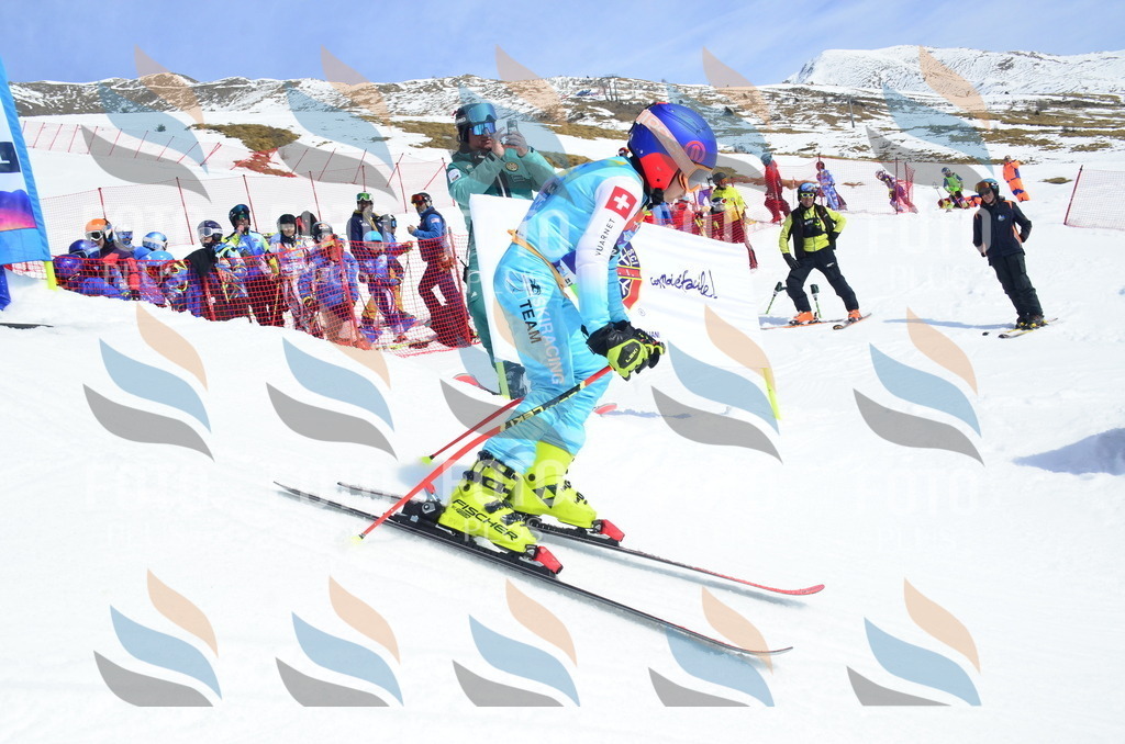 _ELE1487 | holidayphoto