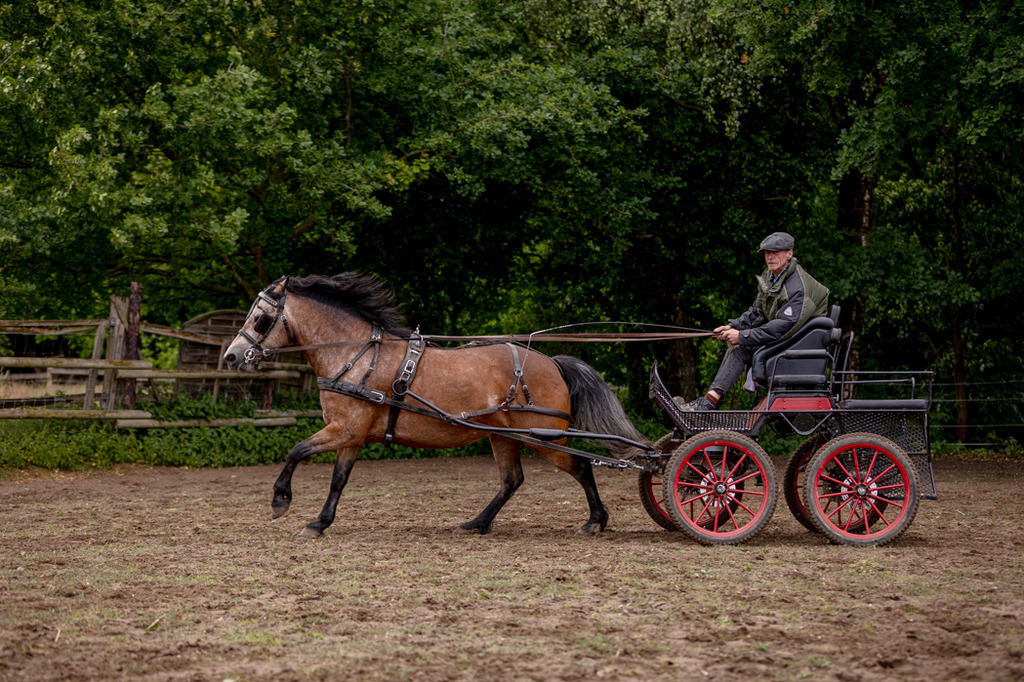 846A0702 | fotosleben - Realized with Pictrs.com