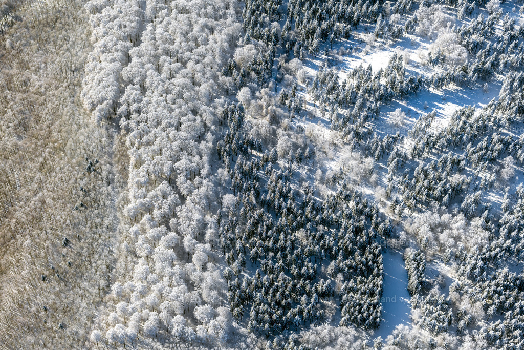 4043367 | winterliche Baumstrukturen in der Rhön