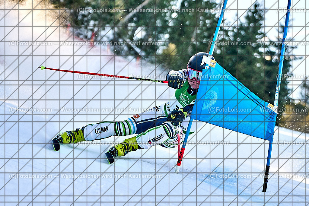 _ALP4002_FIS-Masters-GS-II_Glungezer_Borovinsek Samuel | FIS-MASTERS-WorldCup am Glungezer, GiantSlalom-II, So 18. Jänner 2026.