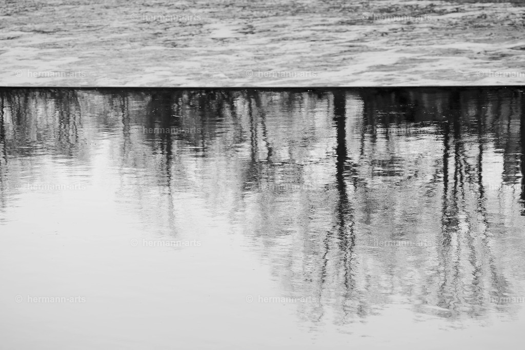 Nature-Arts-038 | Photo Foto Kunst Art schwarzweiss Bilder Rheine Münster Berlin Blumen 