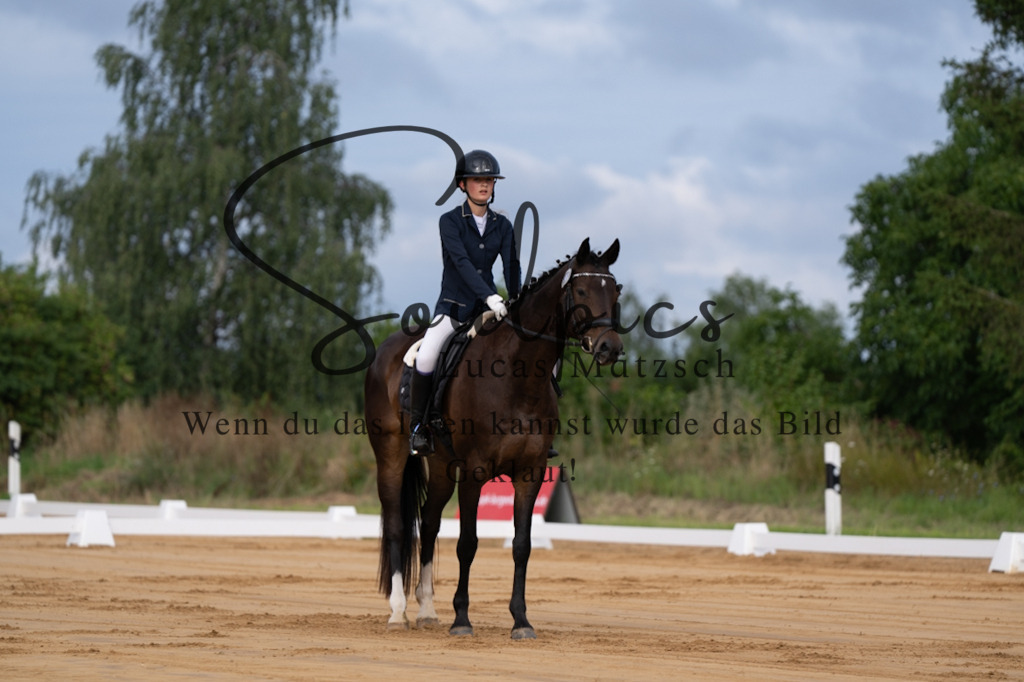 A7V05085 | Pferdefotograf