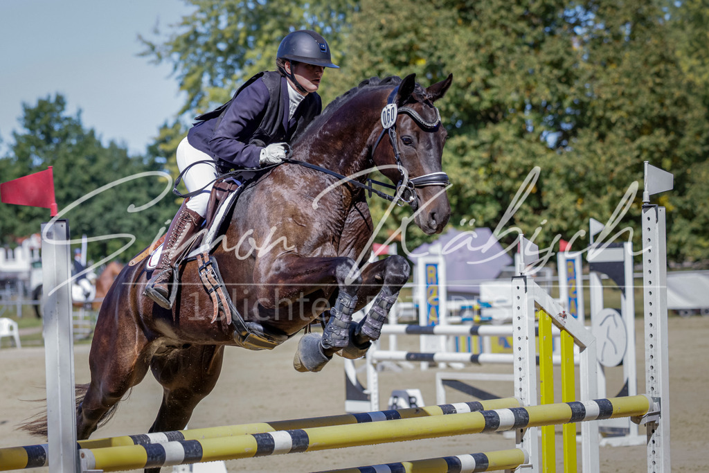 20250906-_3LI3916 | Tierfotografie Pferde, Hunde, Katzen, Haustiere.
Turnierfotografie Reitturniere, Reiten, Springreiten, Dressur in Hanau, dem Main-Kinzig-Kreis und dem Rhein-Main- Gebiet um Frankfurt