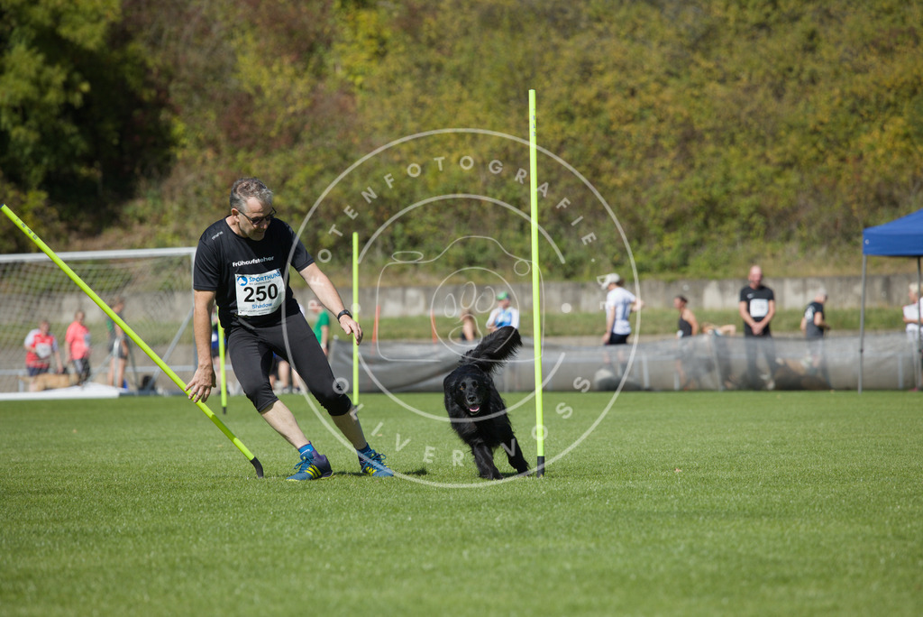 0L8A6296 | Hundefotografie, Tierfotograf, Pfotenfotografie, Fotoshooting Hund, Hunde Portrait, Hundesport, Hundeportraits, Heideshooting, Hunde, Sportfotograf, Hundefotograf, Turnierhundsport, THS,  - Realisiert mit Pictrs.com