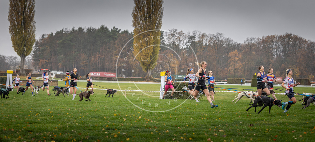 CaniXpix_DV3A8748 | Hundefotografie, Tierfotograf, Pfotenfotografie, Fotoshooting Hund, Hunde Portrait, Hundesport, Hundeportraits, Heideshooting, Hunde, Sportfotograf, Hundefotograf, Turnierhundsport, THS,  - Realisiert mit Pictrs.com