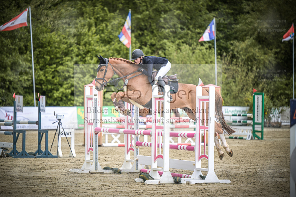 DOS_2412 | Entdecke hochwertige Reitturnierfotos von Foto Oger. Professionell, emotional und authentisch – jetzt Lieblingsmomente im Shop bestellen. - Realisiert mit Pictrs.com