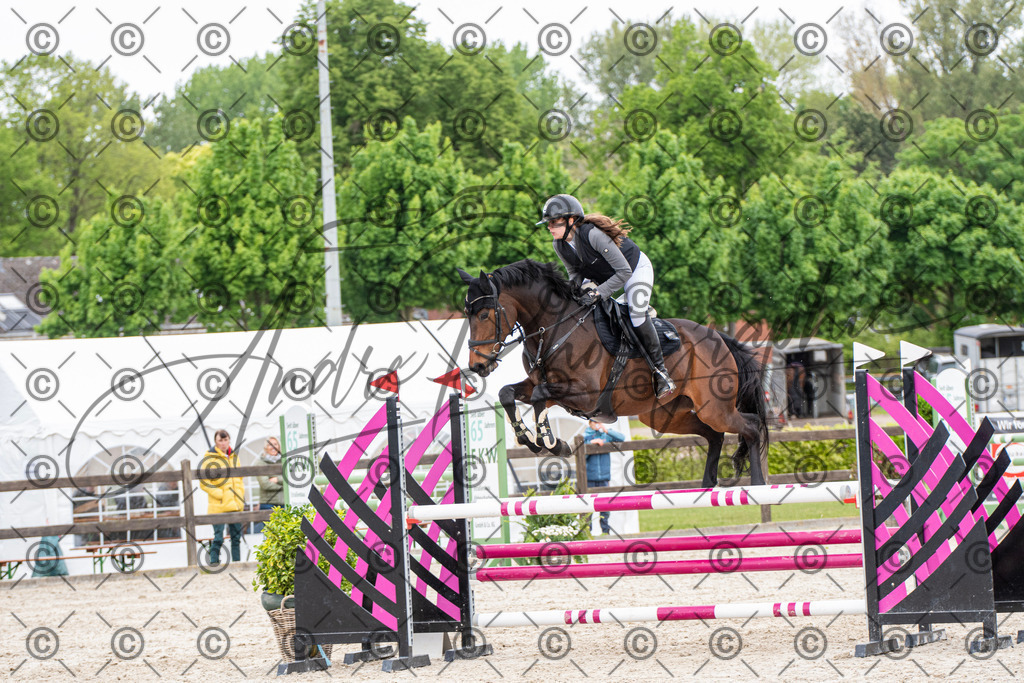 KPT_8696 | andre_photographic