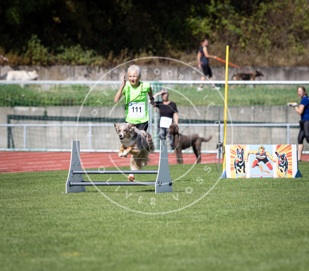 Pfotenfotografie_DV3A8283 | Hundefotografie, Tierfotograf, Pfotenfotografie, Fotoshooting Hund, Hunde Portrait, Hundesport, Hundeportraits, Heideshooting, Hunde, Sportfotograf, Hundefotograf, Turnierhundsport, THS,  - Realisiert mit Pictrs.com