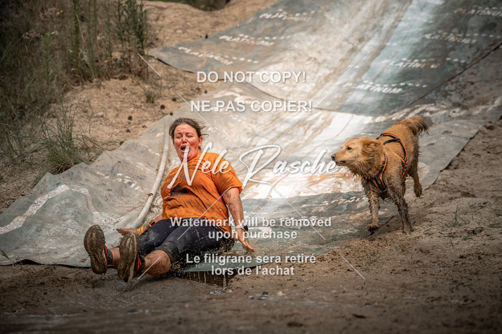 nelerasche_sa1345-1430_194 | nelerasche