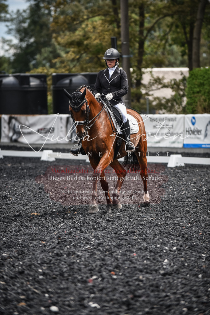 DSC_4978 | Pferde- und Turnierfotografie in Westsachsen. Pferdeportraits, Auftragszeichnungen und intuitive Kunst.