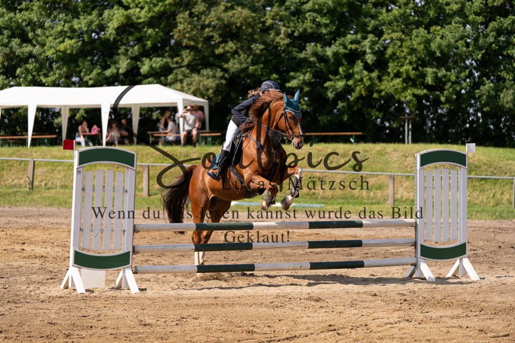 A7507356 | Turnier/Reitfotograf