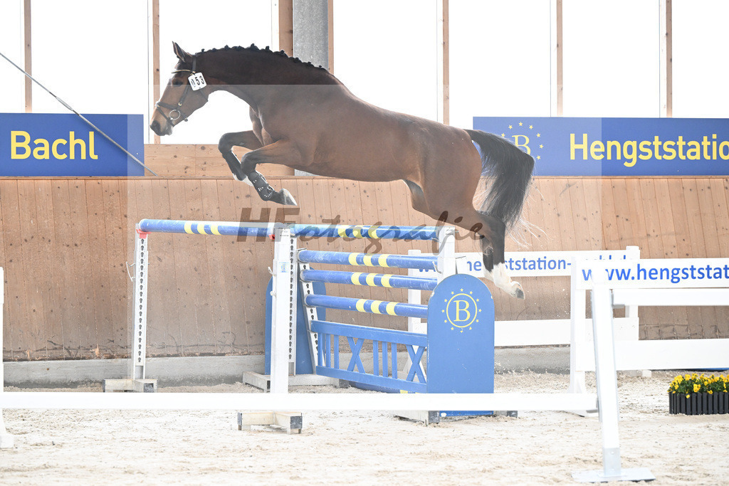 Kat-Nr. 53 Condessa M v. Van Cordoba_Mayer_5251672 | hf-fotografie - Realisiert mit Pictrs.com