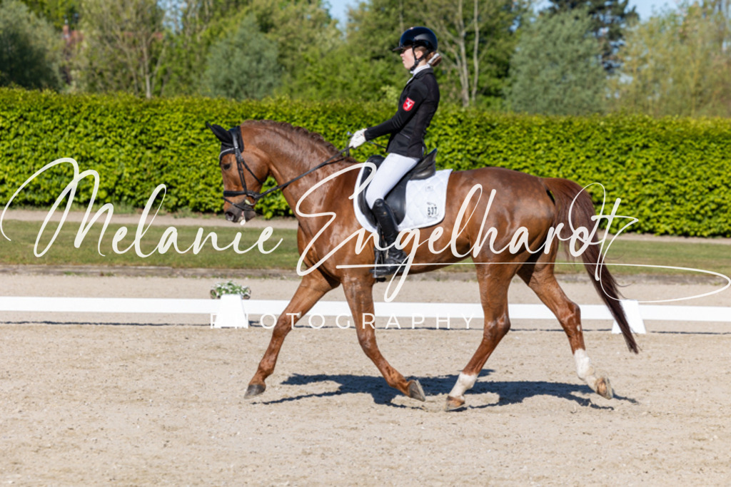 7I8A8861 | melanie-engelhardt-photography - Realisiert mit Pictrs.com