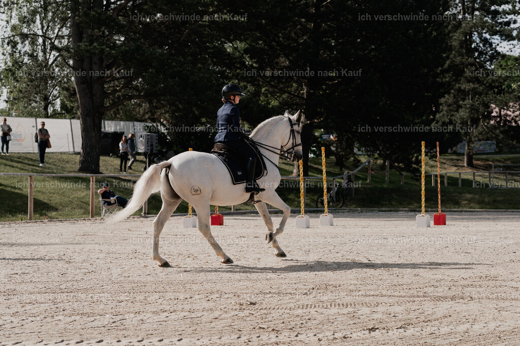 WE_ST_Stoib_328_PI2025_868 | Pferd International München 2025