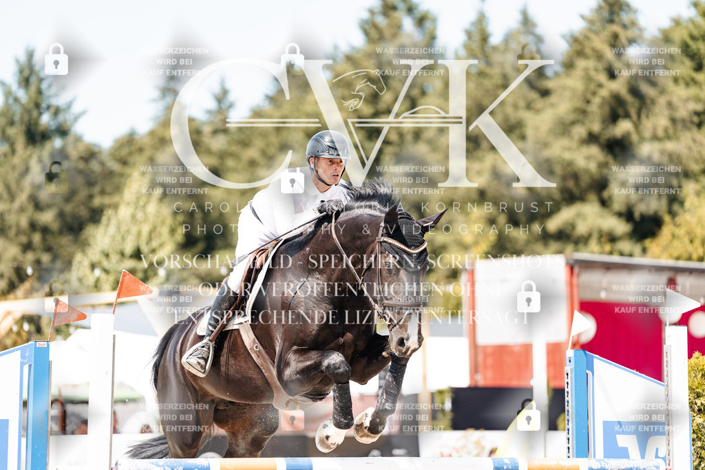 CK901068 | Turnierfotografie Pferdefotografie Trier Rheinland-Pfalz Pferdesport Reitsport Tierfotografie Sportfotografie Pferdevideo Pferdevideografie Equestrianvideography equestrianphotography  - Realisiert mit Pictrs.com