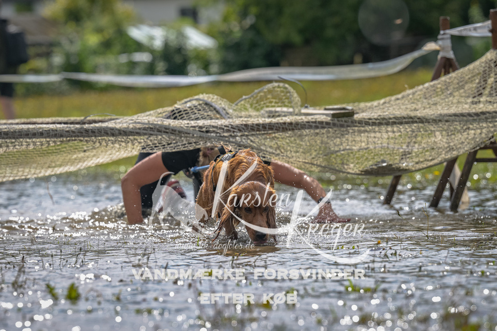 1325_ZZ91075 | kk-dogfotos