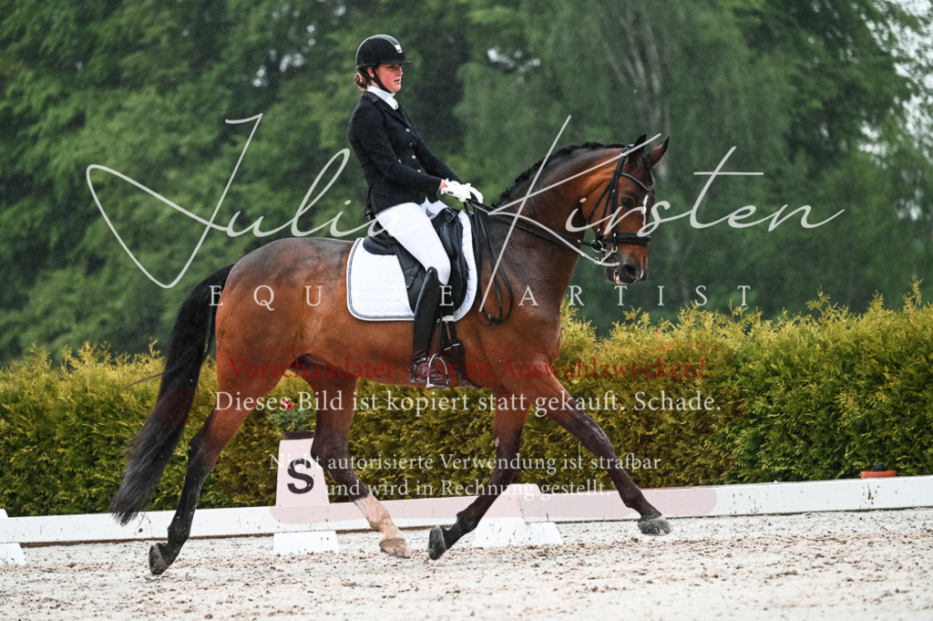 DSC_4573 | Pferde- und Turnierfotografie in Westsachsen. Pferdeportraits, Auftragszeichnungen und intuitive Kunst.