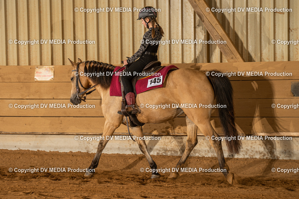 NID02818 | dv-media-shop - Realisiert mit Pictrs.com