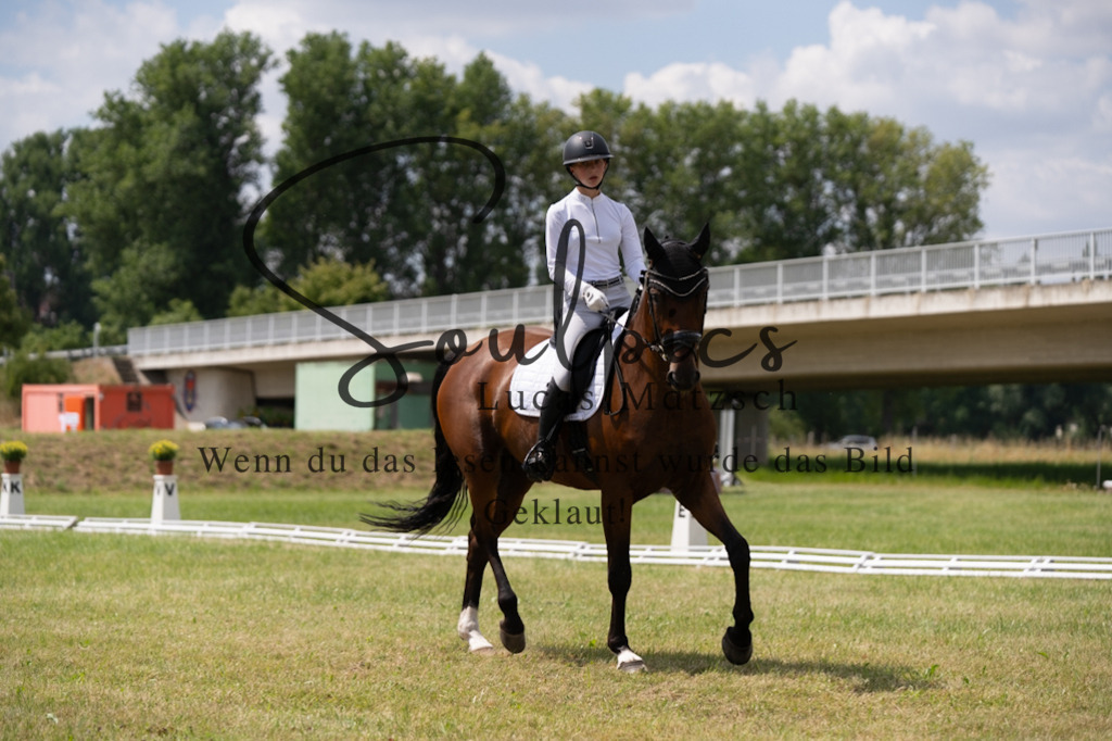 A7V09994 | Pferdefotograf