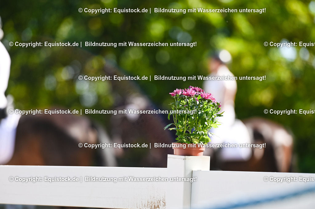 20230715_06_Dressurpferdeprfg. Kl.A_0232 | equistock