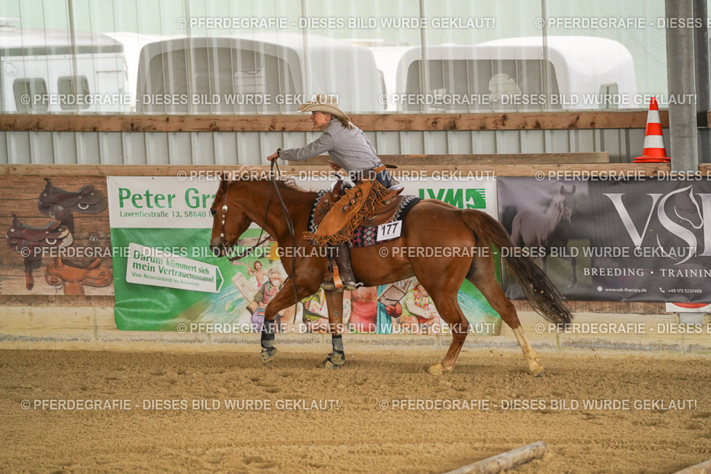 DSC04549 | Pferdegrafie