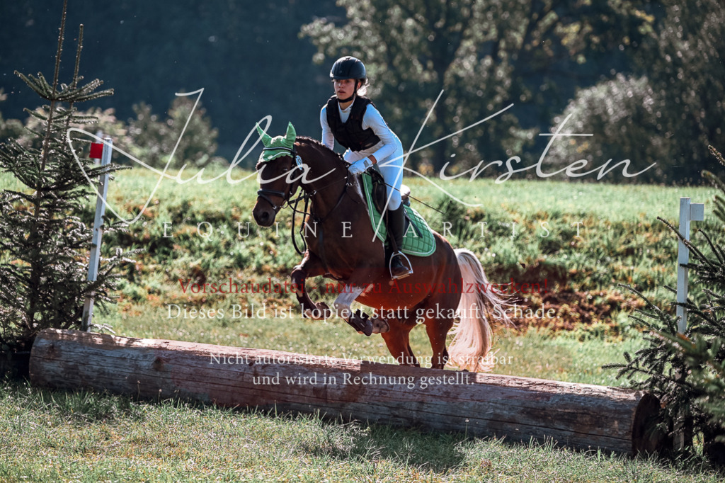 DSC_0835 | Pferde- und Turnierfotografie in Westsachsen. Pferdeportraits, Auftragszeichnungen und intuitive Kunst.