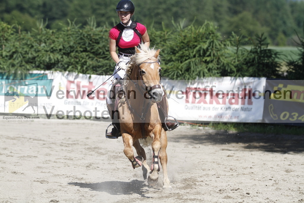 _MG_2671 | equestrian-live-com