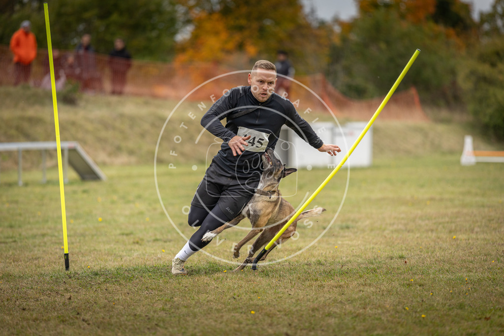 Pfotenfotografie_DV3A8042 | Hundefotografie, Tierfotograf, Pfotenfotografie, Fotoshooting Hund, Hunde Portrait, Hundesport, Hundeportraits, Heideshooting, Hunde, Sportfotograf, Hundefotograf, Turnierhundsport, THS,  - Realisiert mit Pictrs.com