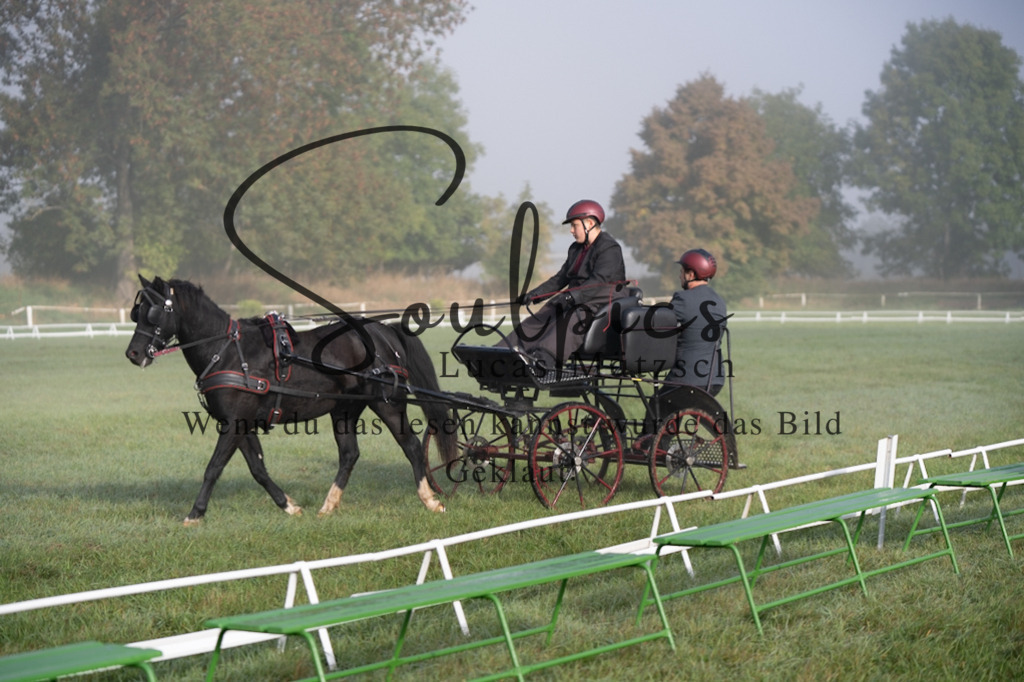 A7V04075 | Pferdefotograf