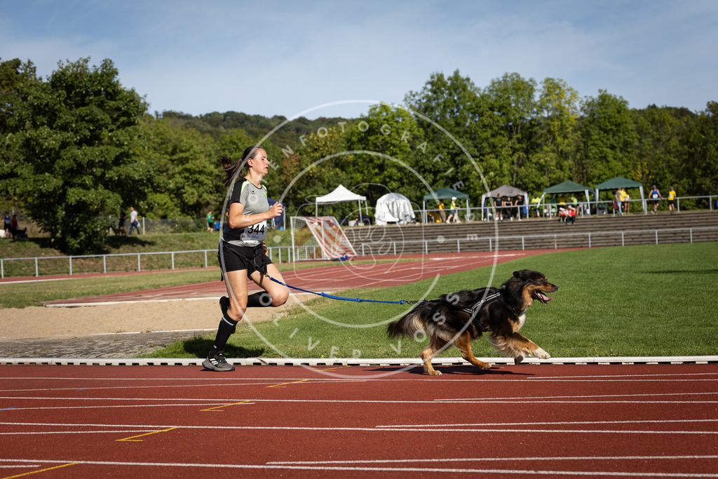 Pfotenfotografie_DV3A8550 | Hundefotografie, Tierfotograf, Pfotenfotografie, Fotoshooting Hund, Hunde Portrait, Hundesport, Hundeportraits, Heideshooting, Hunde, Sportfotograf, Hundefotograf, Turnierhundsport, THS,  - Realisiert mit Pictrs.com